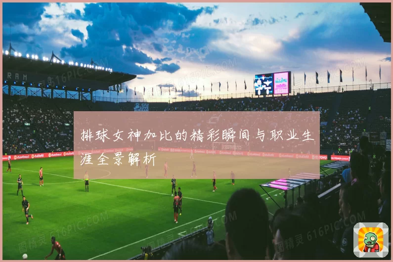 排球女神加比的精彩瞬间与职业生涯全景解析