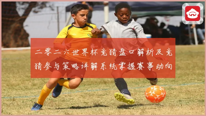 二零二六世界杯竞猜盘口解析及竞猜参与策略详解系统掌握赛事动向数据研判