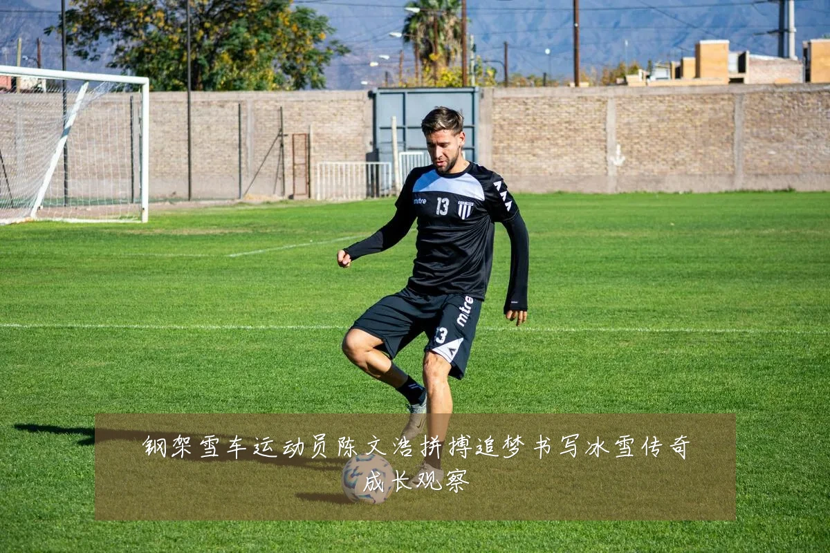 钢架雪车运动员陈文浩拼搏追梦书写冰雪传奇成长观察
