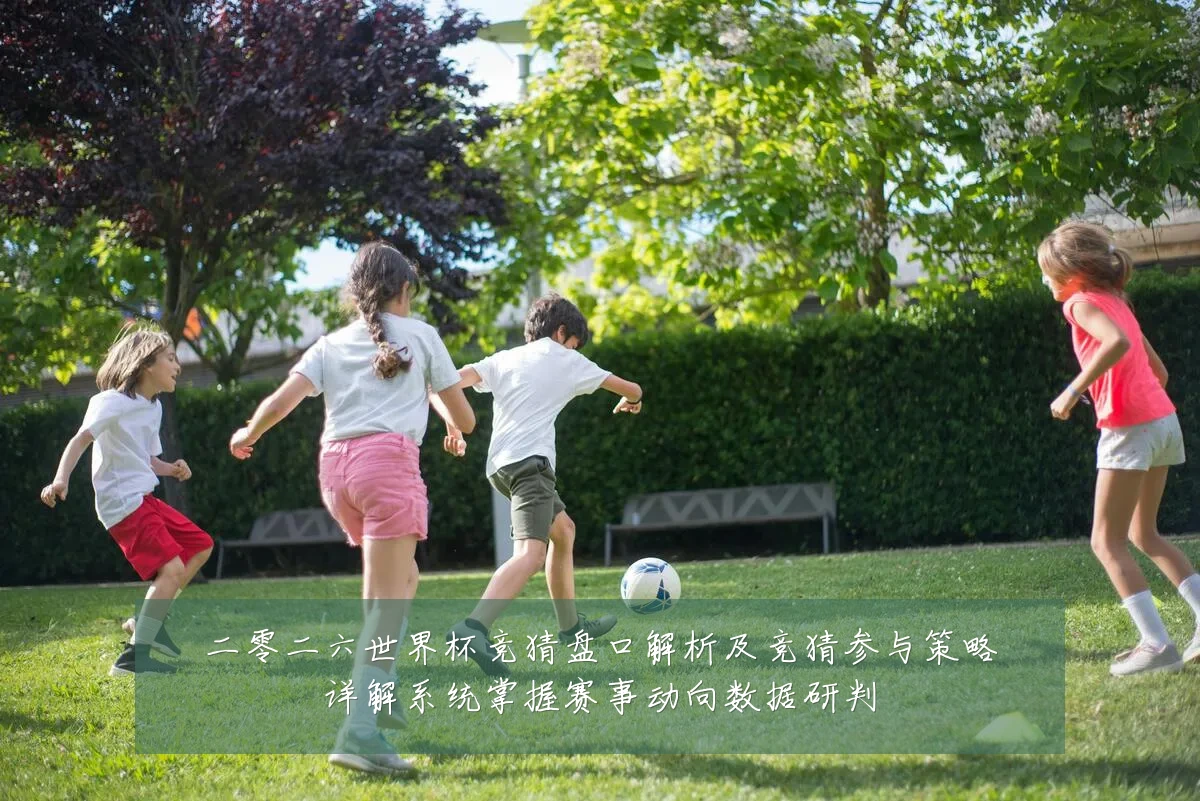 二零二六世界杯竞猜盘口解析及竞猜参与策略详解系统掌握赛事动向数据研判