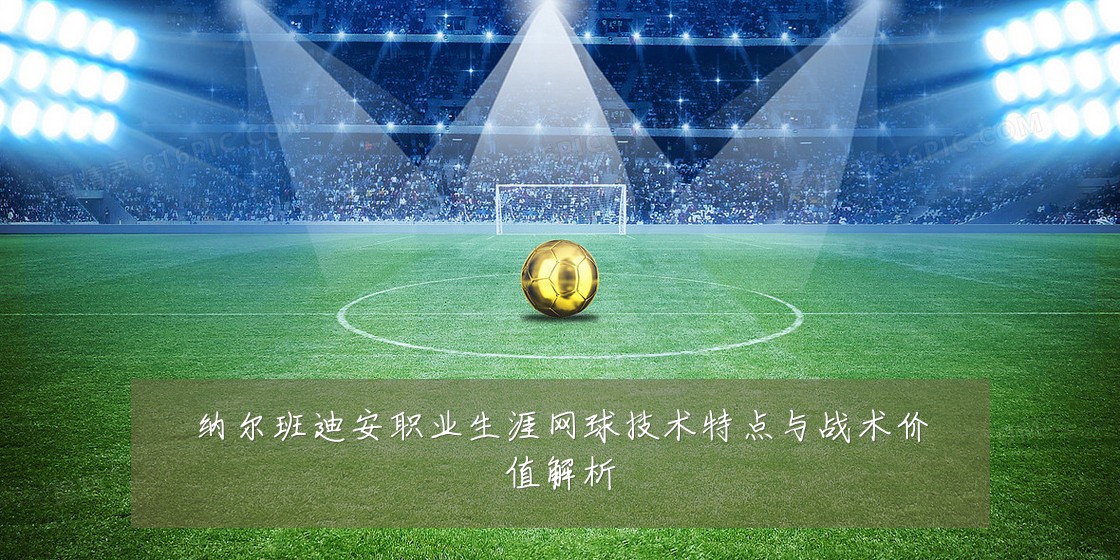 纳尔班迪安职业生涯网球技术特点与战术价值解析