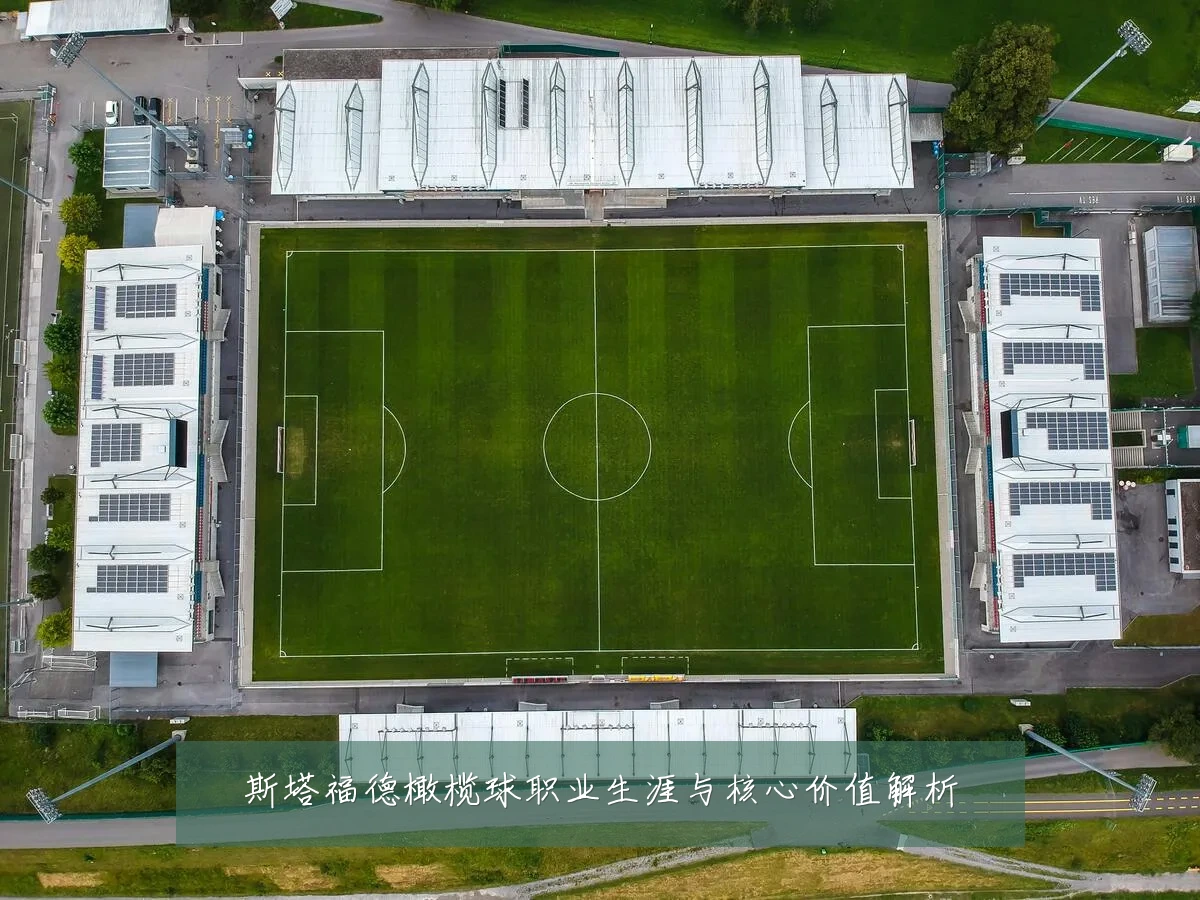 斯塔福德橄榄球职业生涯与核心价值解析