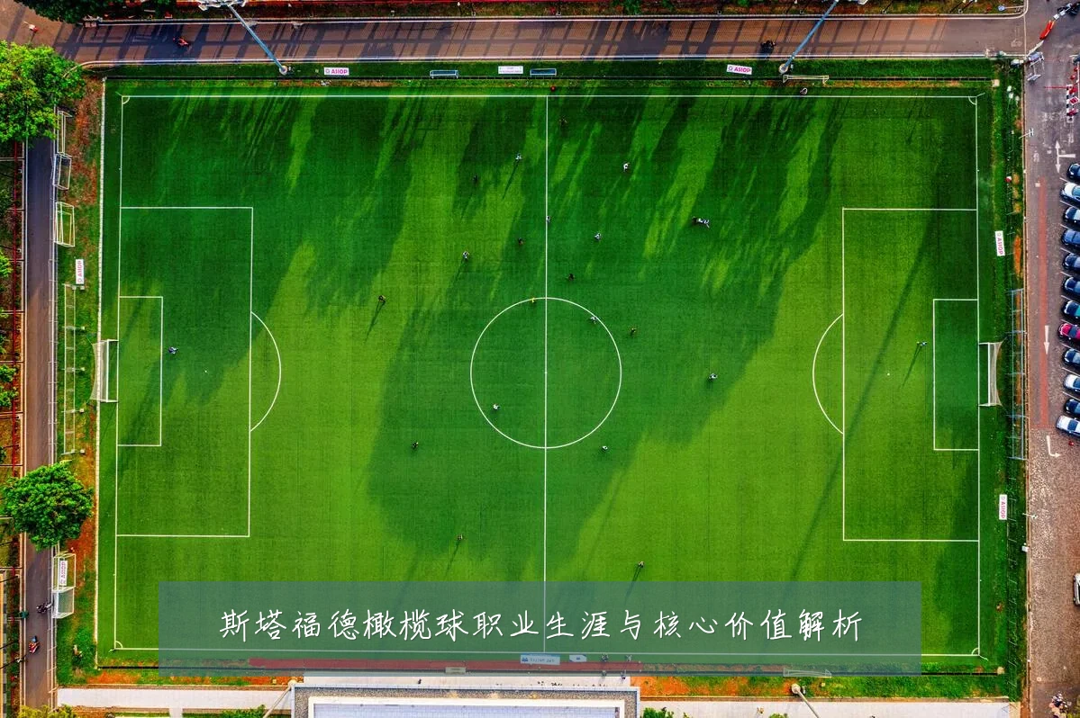 斯塔福德橄榄球职业生涯与核心价值解析