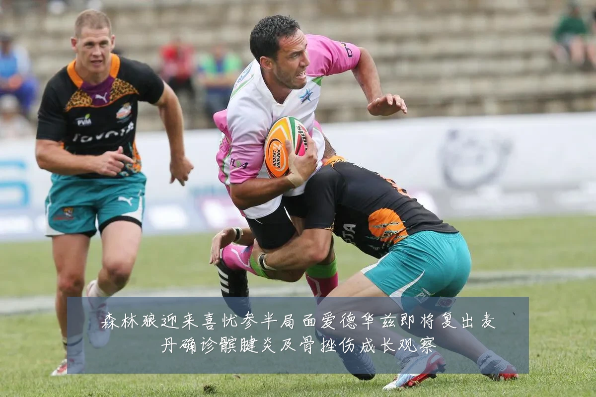森林狼迎来喜忧参半局面爱德华兹即将复出麦丹确诊髌腱炎及骨挫伤成长观察